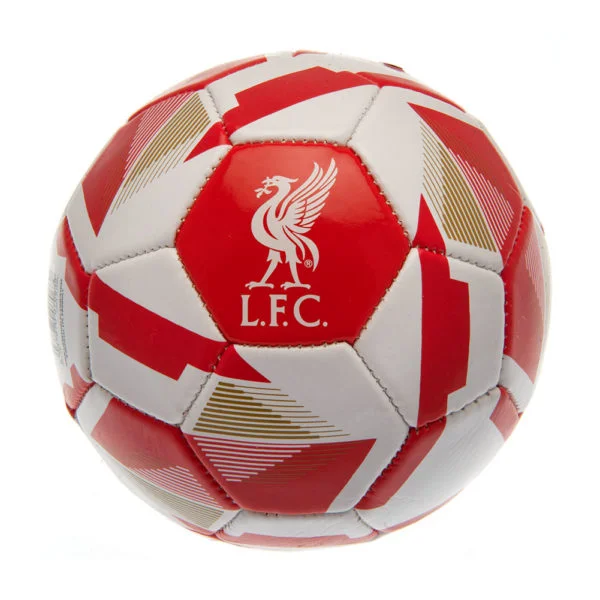 Liverpool FC Skill Ball